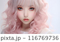 幻想的な美女 116769736