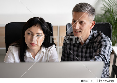 Two Colleagues Collaborating on a Project in Modern Office 116769846
