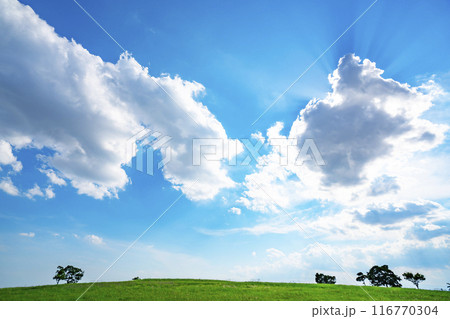 夏の青空と草原と太陽 116770304
