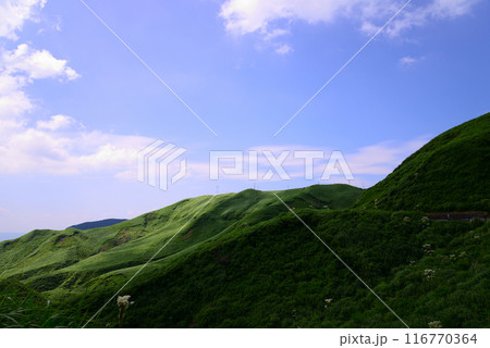 夏の阿蘇 夏の阿蘇 116770364