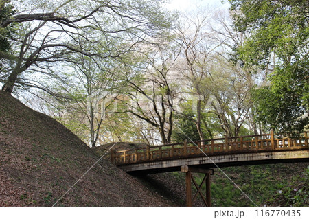 勝山城 勝山城 116770435