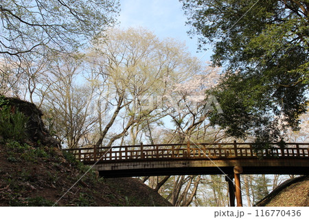 勝山城 勝山城 116770436
