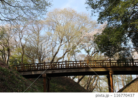 勝山城 116770437
