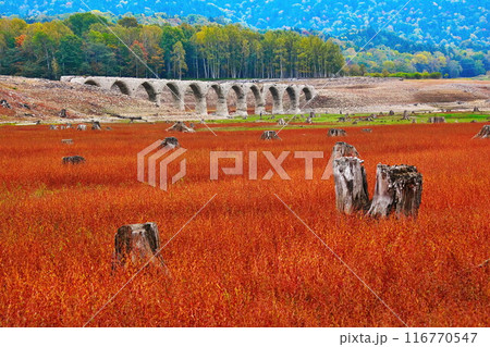 タウシュベツ橋梁の秋 タウシュベツ橋梁の秋 116770547