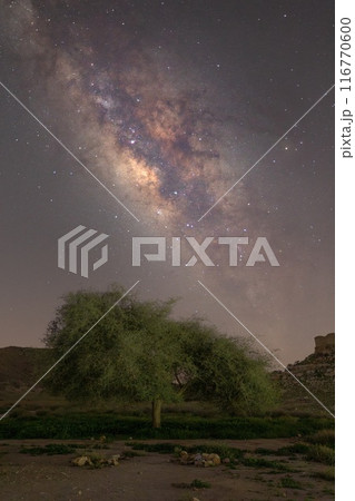 Milkyway and alone tree Milkyway and alone tree 116770600