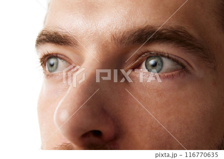 Close-up of man's eyes, emphasizing clear, bright blue eyes and well-groomed eyebrows, isolated on white background. Eye care 116770635