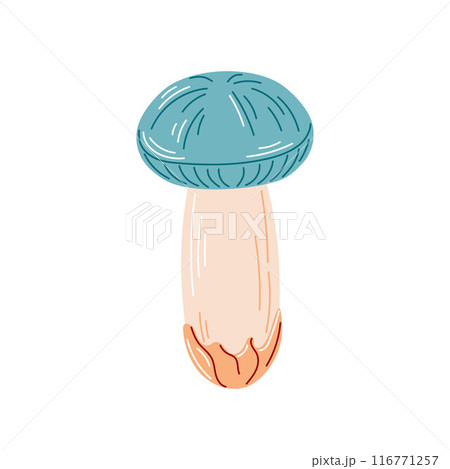 Edible forest mushroom in flat style. Autumn fungus, cap and stalk. Vector illustration isolated on a white background. 116771257