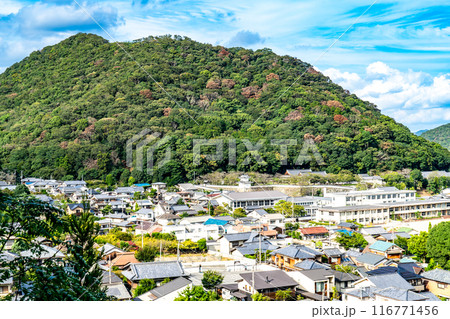 龍野城と鶏籠山と城下町の初秋の風景 兵庫県たつの市 龍野城と鶏籠山と城下町の初秋の風景 兵庫県たつの市 116771456