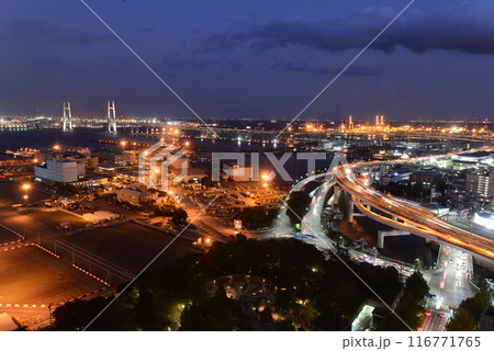 横浜マリンタワーからの夜景 横浜マリンタワーからの夜景 116771765