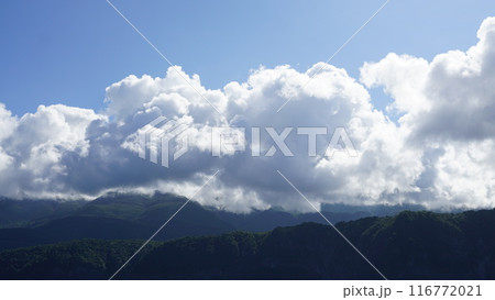 知床遊覧船 116772021