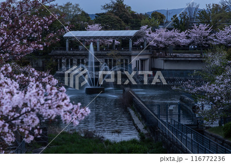 琵琶湖疏水の風景 116772236
