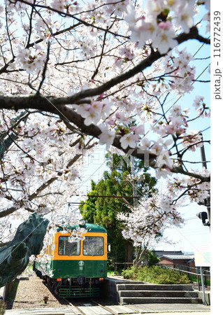 旧月形駅の桜(新潟県) 旧月形駅の桜(新潟県) 116772439