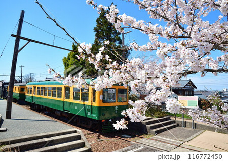 旧月形駅の桜（新潟県） 116772450