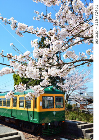 旧月形駅の桜（新潟県） 116772451