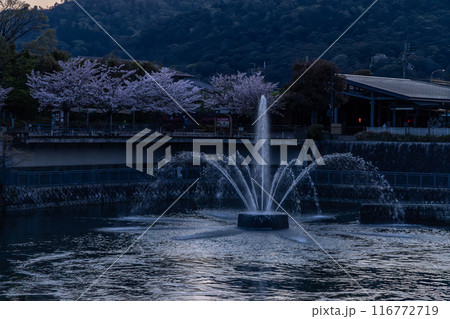琵琶湖疏水の風景 116772719