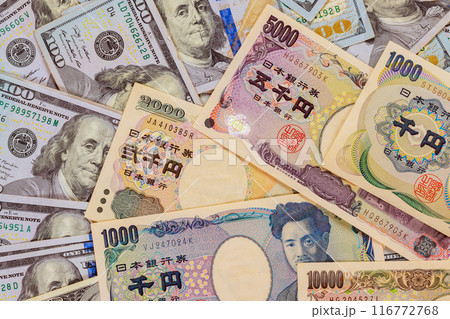 If inflation occurs in Japan, savers are advised to buy US dollars in order to invest 116772768
