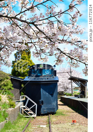 旧月形駅と桜（新潟県） 116772814
