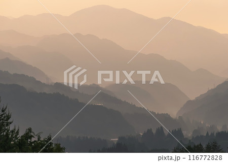 240607上野平g061 240607上野平g061 116772828