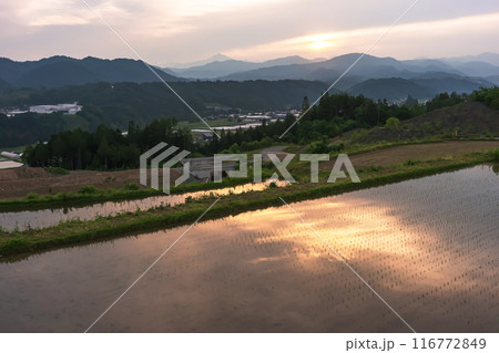 240607上野平z026 116772849