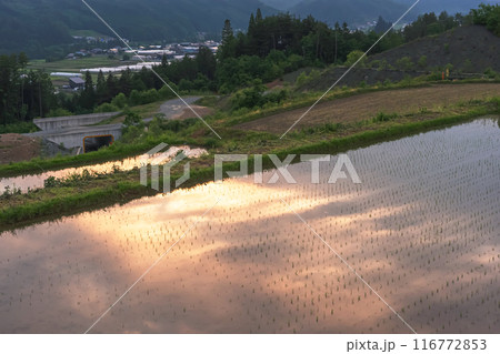 240607上野平z018 116772853