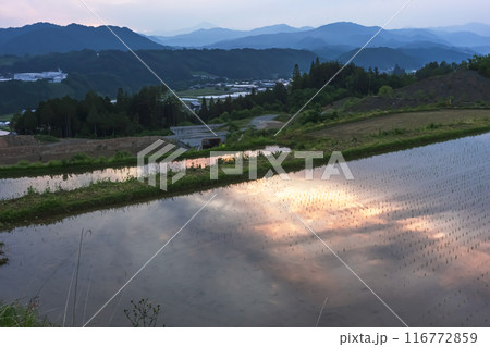 240607上野平z005 116772859