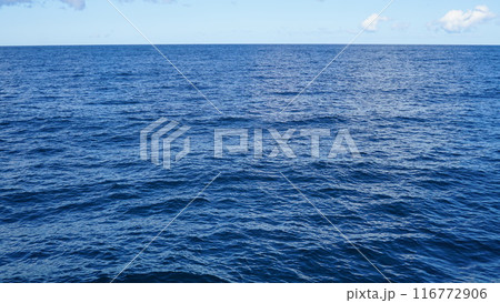 知床遊覧船 116772906