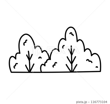 Bushes isolated on a white background Bushes isolated on a white background 116773104