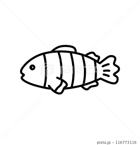 Fish isolated on white background 116773116