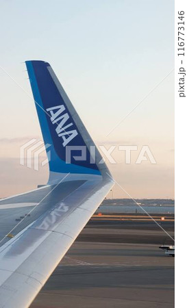 飛行機 116773146