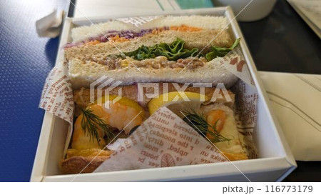 飛行機 飛行機 116773179