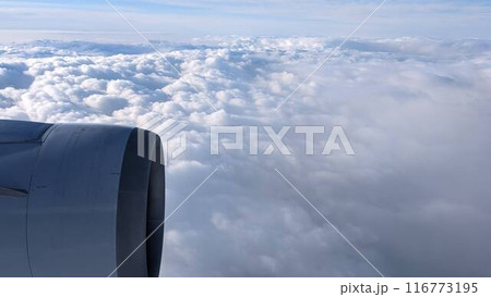 飛行機 116773195
