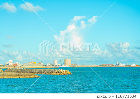 石垣島の海と街並み 116773634