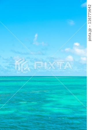 石垣島の海 石垣島の海 116773642