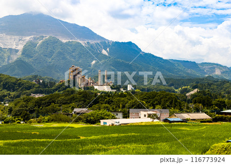 埼玉県横瀬町　寺坂棚田 116773924