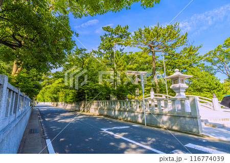 日本の寒川都市景観　相模國一之宮 寒川神社など望む＝令和6年7月21日 116774039