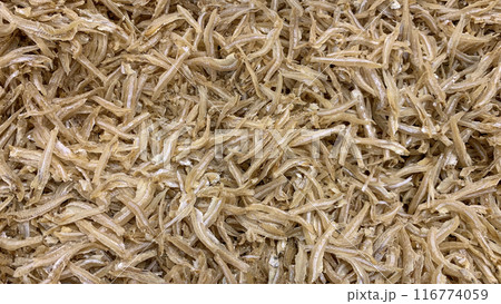 Top view of anchovies displayed in supermarket. Seafood concept. 116774059