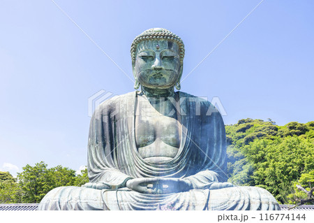 鎌倉大仏 鎌倉大仏 116774144