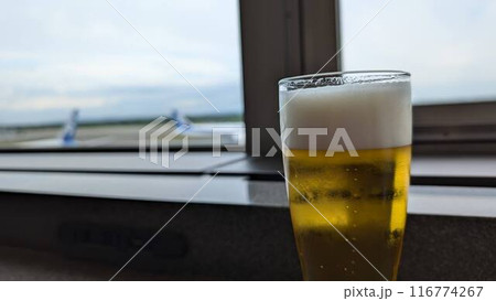 飛行機 116774267