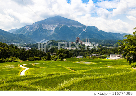 埼玉県横瀬町 寺坂棚田 埼玉県横瀬町 寺坂棚田 116774399