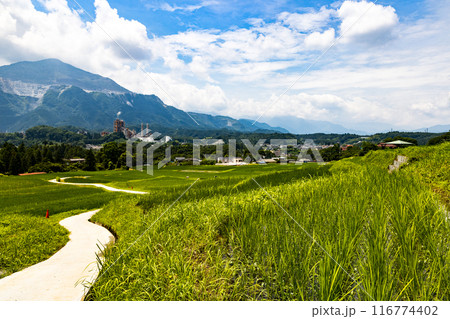 埼玉県横瀬町　寺坂棚田 116774402