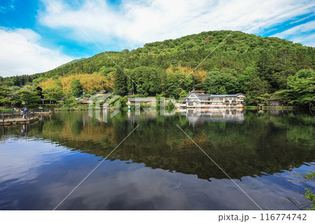 the river to Kinrin Lake, Yufuin japan May 15 2024 116774742