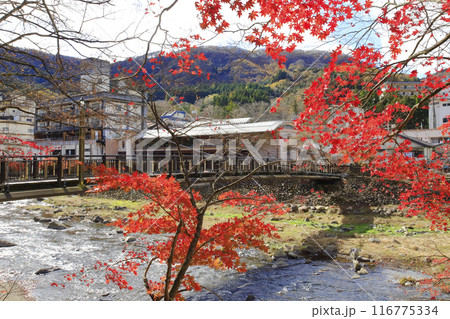 紅の吊橋 紅の吊橋 116775334
