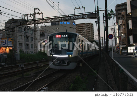 夕方の高架を走る小田急線 116775512