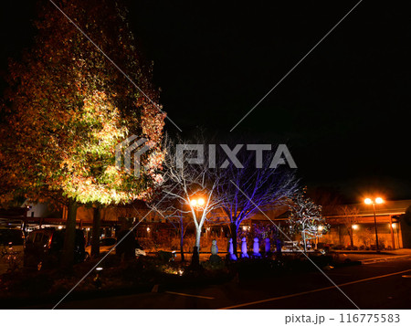 秋保・里センターのライトアップ（宮城県仙台市） 116775583