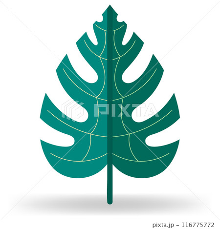 Stylized Tropical Monstera Leaf Design 116775772