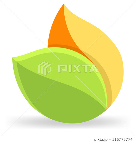 spring and autumn leaf logo 116775774