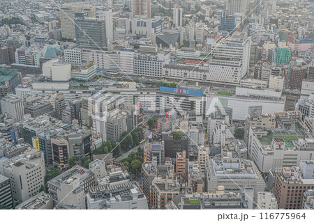 [昼景]サンシャイン60展望台からの眺望 116775964