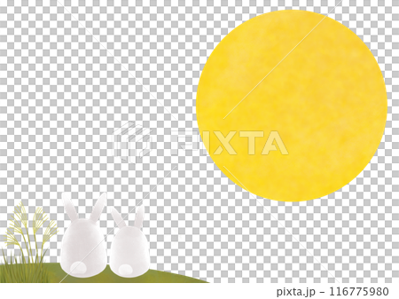 白ウサギのお月見イラスト 白ウサギのお月見イラスト 116775980