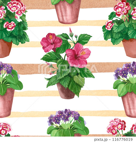 Watercolor pattern. Bright indoor flowers in pots on a striped background. Hibiscus, geranium, violet hand-painted in watercolor. Suitable for printing on fabric, paper, bed linen, clothing. 116776019