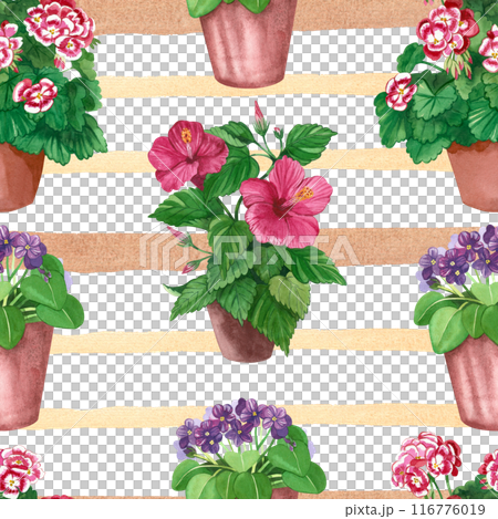 Watercolor pattern. Bright indoor flowers in pots on a striped background. Hibiscus, geranium, violet hand-painted in watercolor. Suitable for printing on fabric, paper, bed linen, clothing. 116776019